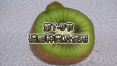 第7-9节-磷肥种类及使用