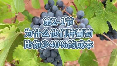 第2-1节-为什么他们种葡萄比你少40%的成本