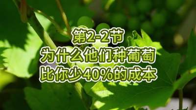 第2-2节-为什么他们种葡萄比你少40%的成本