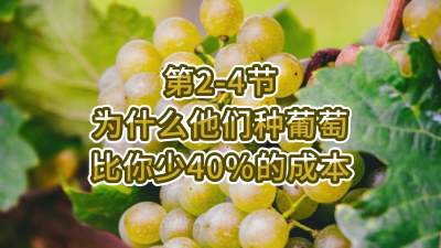 第2-4节-为什么他们种葡萄比你少40%的成本