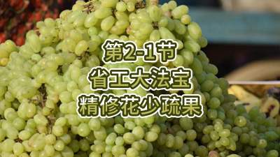第2-1节-省工大法宝，精修花少疏果