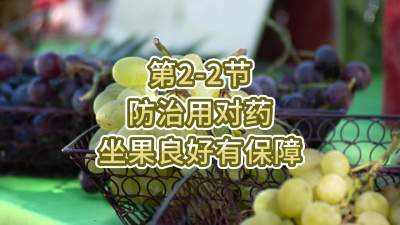 第2-2节-防治用对药，坐果良好有保障