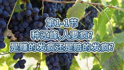 第1-1节-种辽峰，人要疯？是赚的发疯还是赔的发疯？