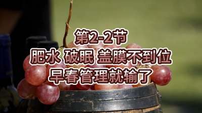 第2-2节-肥水、破眠、盖膜不到位，早春管理就输了