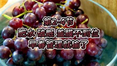 第2-4节-肥水、破眠、盖膜不到位，早春管理就输了