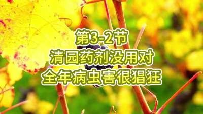第3-2节-清园药剂没用对，全年病虫害很猖狂