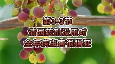 第3-3节-清园药剂没用对，全年病虫害很猖狂