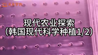 《农业探索-韩国现代设施农业》今天来看看韩国通过现代科技手段种植出来的新鲜蔬菜的全过程。
