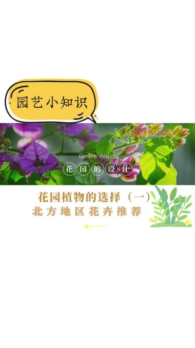 花园植物的选择&mdash;&mdash;北方花卉推荐