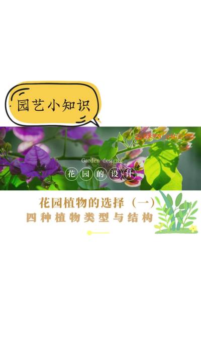 花园植物的选择&mdash;&mdash;四种植物类型与结构