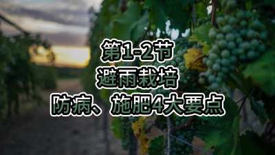 第1-2节-避雨栽培-防病、施肥4大要点
