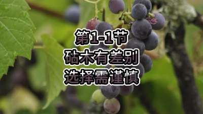 第1-1节-砧木有差别，选择需谨慎