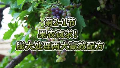 第2-1节-果农疯求！膨大处理两大高效配方