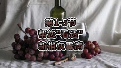 第1-5节-帮您&ldquo;看透&rdquo;新梢灰霉病