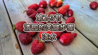 第2-3节-清园的关键步骤&mdash;&mdash;浇水