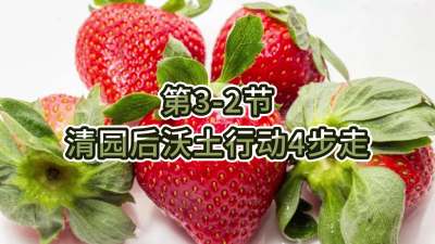 第3-2节-清园后沃土行动4步走