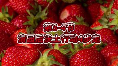 第3-4节-清园后沃土行动4步走