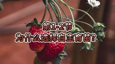 第1-2节-为什么选择自主育苗？