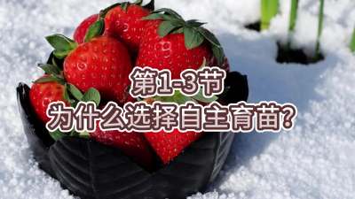 第1-3节-为什么选择自主育苗？