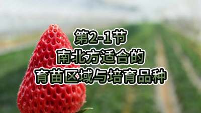 第2-1节-南北方适合的育苗区域与培育品种