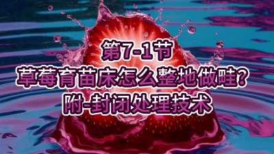 第7-1节-草莓育苗床怎么整地做畦？附-封闭处理技术