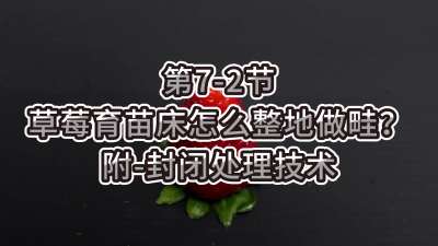 第7-2节-草莓育苗床怎么整地做畦？附-封闭处理技术