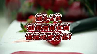 第3-2节-如何培育壮苗、促进花芽分化？