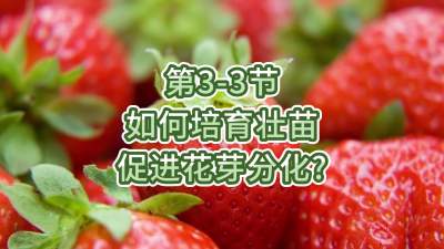 第3-3节-如何培育壮苗、促进花芽分化？