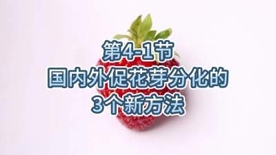 第4-1节-国内外促花芽分化的3个新方法