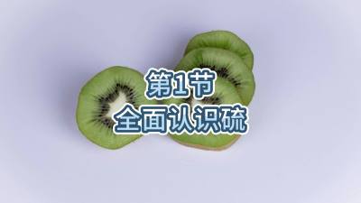 第1节-全面认识硫