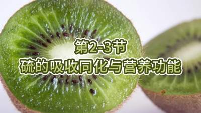 第2-3节-硫的吸收同化与营养功能