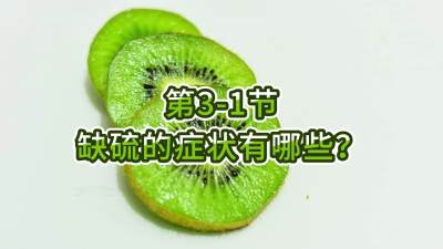 第3-1节-缺硫的症状有哪些？