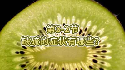 第3-2节-缺硫的症状有哪些？