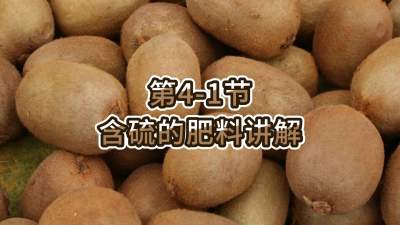 第4-1节-含硫的肥料讲解