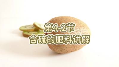 第4-2节-含硫的肥料讲解