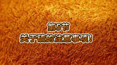 第5节-关于硫的注意事项！