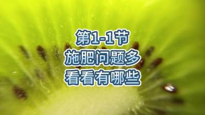 第1-1节-施肥问题多，看看有哪些？