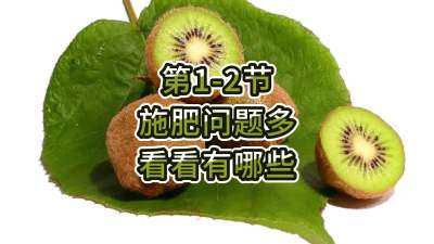 第1-2节-施肥问题多，看看有哪些？