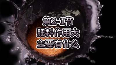 第2-1节-肥料作用大，主要有什么？