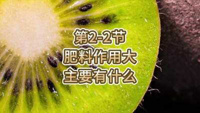 第2-2节-肥料作用大，主要有什么？
