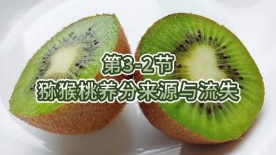 第3-2节-猕猴桃养分来源与流失