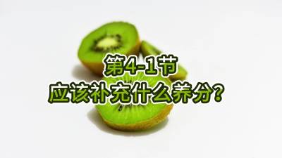 第4-1节-应该补充什么养分？