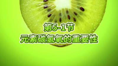 第5-1节-元素碳氢氧的重要性