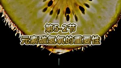 第5-2节-元素碳氢氧的重要性