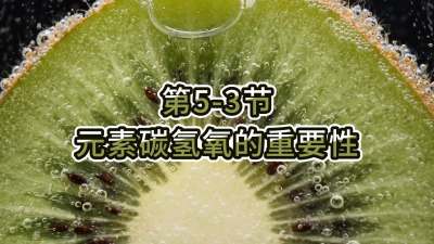 第5-3节-元素碳氢氧的重要性