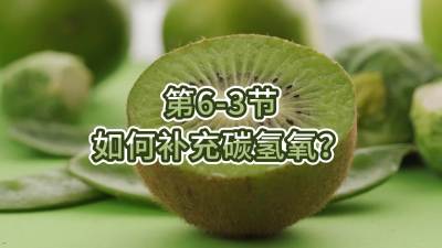 第6-3节-如何补充碳氢氧？