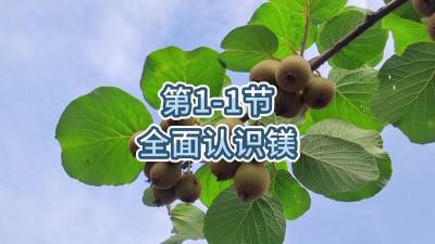 第1-1节-全面认识镁