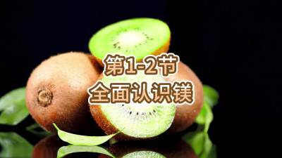 第1-2节-全面认识镁