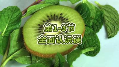 第1-3节-全面认识镁