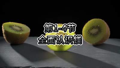 第1-4节-全面认识镁